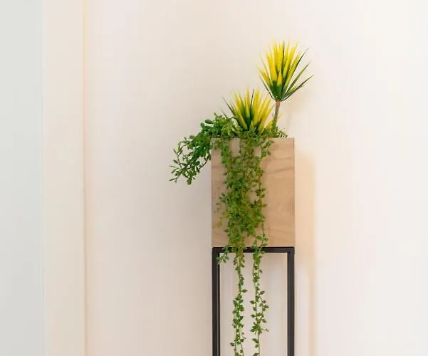 Magnolia 4* Luxury In Town Center Appartement Trogir