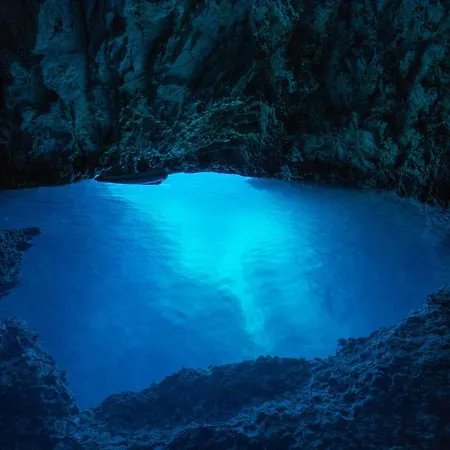 Apartament Magnolia 4* Luxury In Town Center Trogir