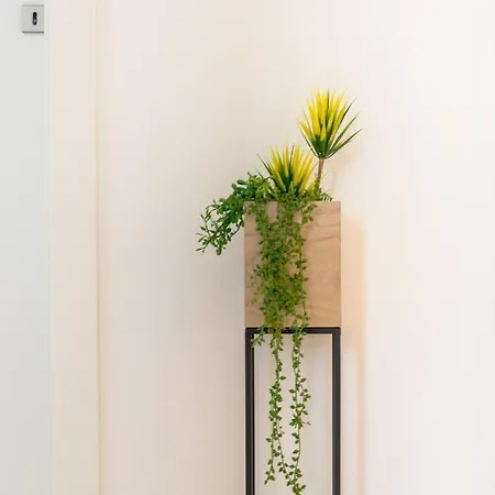 Magnolia 4* Luxury In Town Center Διαμέρισμα Τρογκίρ